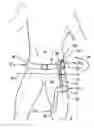 Fig. 01 - Hip orthosis, method for preventing the dislocation of a hip and use of a hip orthosis