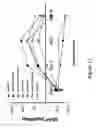 Fig. 13 - Electrode assembly for constant-current electroporation and use