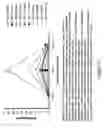 Fig. 14 - Electrode assembly for constant-current electroporation and use