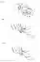 Fig. 02 - Medical skin mountable device