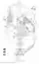 Fig. 09 - Disposable diaper having antislip elements
