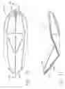Fig. 12 - Thong-shaped holder for use with absorbent article