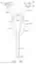 Fig. 13 - Thong-shaped holder for use with absorbent article
