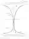 Fig. 01 - System comprising thong-shaped holder and absorbent article