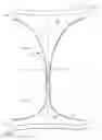 Fig. 03 - System comprising thong-shaped holder and absorbent article