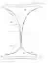 Fig. 01 - System comprising thong-shaped holder and absorbent article