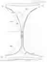 Fig. 01 - System comprising thong-shaped holder and article with sensor