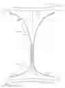 Fig. 03 - System comprising thong-shaped holder and absorbent article