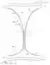 Fig. 03 - System comprising thong-shaped holder and absorbent article