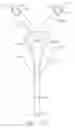 Fig. 13 - System comprising thong-shaped holder and absorbent article