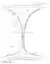 Fig. 03 - System comprising thong-shaped holder and absorbent article
