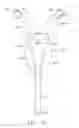 Fig. 13 - System comprising thong-shaped holder and absorbent article