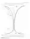 Fig. 03 - System comprising thong-shaped holder and extensible absorbent article
