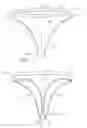 Fig. 02 - System comprising thong-shaped holder and absorbent article with medial hump