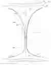 Fig. 01 - System comprising thong-shaped holder and article