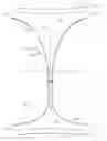 Fig. 01 - System comprising thong-shaped holder and absorbent article