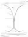 Fig. 03 - System comprising thong-shaped holder and absorbent article
