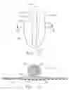 Fig. 09 - System comprising thong-shaped holder and absorbent article