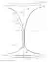 Fig. 01 - Method for holding article in close bodily contact with thong-shaped holder