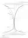 Fig. 03 - System comprising thong-shaped holder and absorbent article