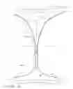 Fig. 03 - System comprising thong-shaped holder and absorbent article