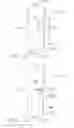Fig. 14 - System comprising thong-shaped holder and absorbent article