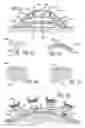 Fig. 08 - CUTANEOUS STABILIZATION BY VACUUM FOR DELIVERY OF MICRO-NEEDLE ARRAY