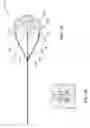 Fig. 09 - Surgical device for retrieval of foreign objects from a body