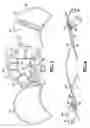 Fig. 04 - Finger activated lancet device