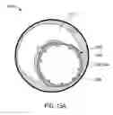 Fig. 22 - Method and apparatus for treating vulnerable plaque