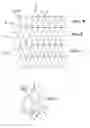 Fig. 19 - Deployable stent