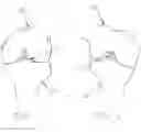 Fig. 02 - Apparatus and method for reconstructing a ligament