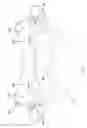 Fig. 08 - Multiple facet joint replacement