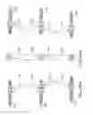 Fig. 24 - Posterior spinal arthroplasty-development of a new posteriorly inserted artificial disc, a new anteriorly inserted artifical disc and an artificial facet joint