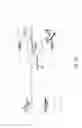 Fig. 12 - Aircraft cockpit display device for information concerning surrounding traffic