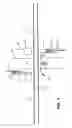 Fig. 02 - Template crossing design and programming for highway-rail grade crossings