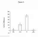 Fig. 06 - Methods to increase the capacity of high content cell-based screening assays