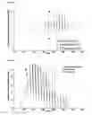Fig. 04 - Data processing/visualization method for two (multi) dimensional separation gas chromatography xmass spectrometry (GCxMS) technique with a two (multiply) dimensional separation concept as an example