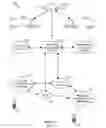 Fig. 02 - Method and apparatus for providing virtual capacity to a provider of services