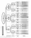 Fig. 05 - Data management for use in capital market indexes