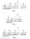Fig. 03 - Masking object data based on user authorization