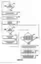 Fig. 07 - System for creating and posting media for sharing on a communication network