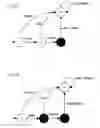 Fig. 84 - Document verification apparatus and document verification method