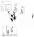 Fig. 06 - Systems and methods for language translation in network browsing applications