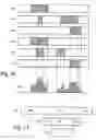 Fig. 15 - Distributed scalable media environment for movie advertising placement in user-created movies