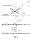 Fig. 07 - Inheritance model between masters, layouts and slides