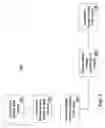 Fig. 07 - Resource management via periodic distributed time