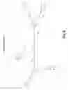 Fig. 10 - Method and apparatus of detecting network activity
