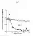 Fig. 07 - Probe for detecting and quantifying lipid second messenger and method of detecting and quantifying lipid second messenger using the same