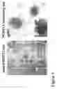 Fig. 02 - Oncogene HOXB13 and its siRNAs